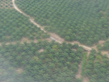 卡帕莱旅游景点攻略图片