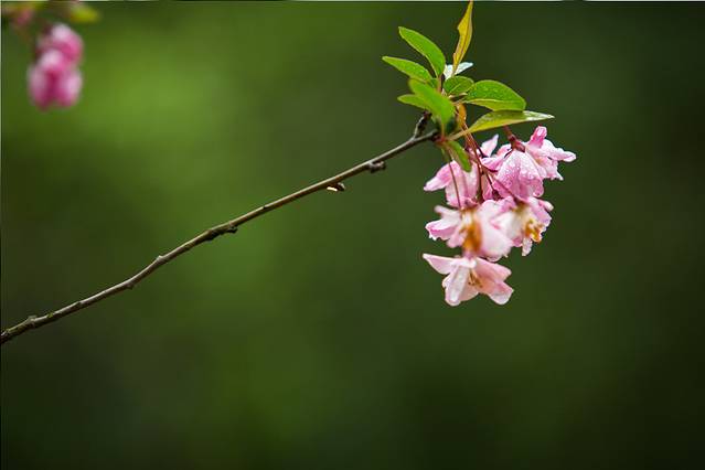 钟山风景区紫霞湖
