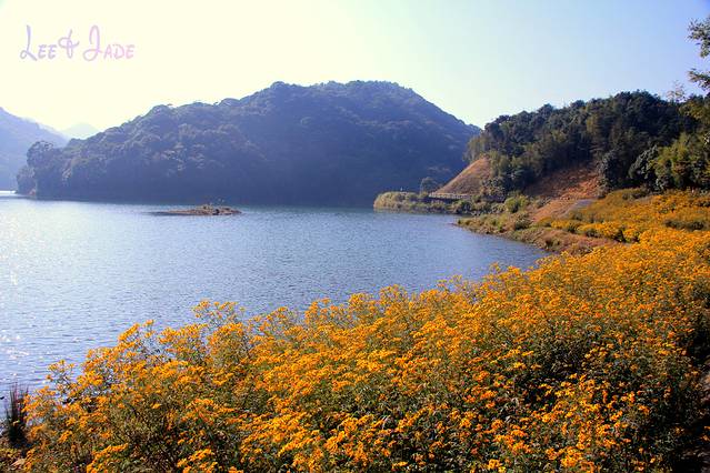 石门国家森林公园