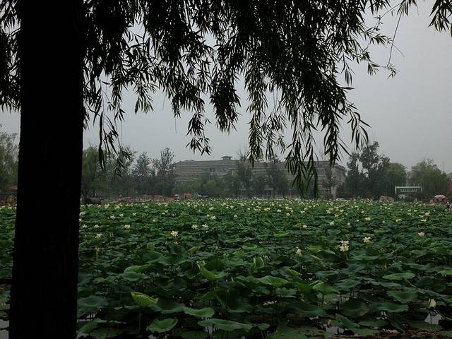 蟹岛绿色生态度假村