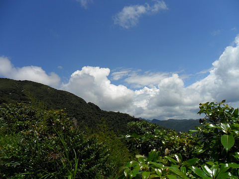 莽山国家森林公园旅游景点攻略图