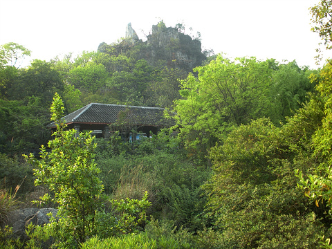 花溪公园