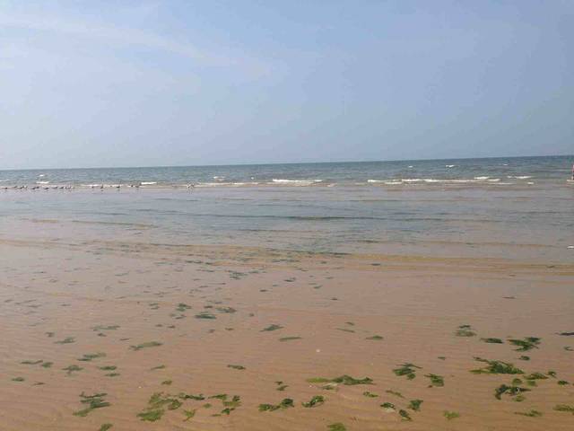 塔山竞技游乐城