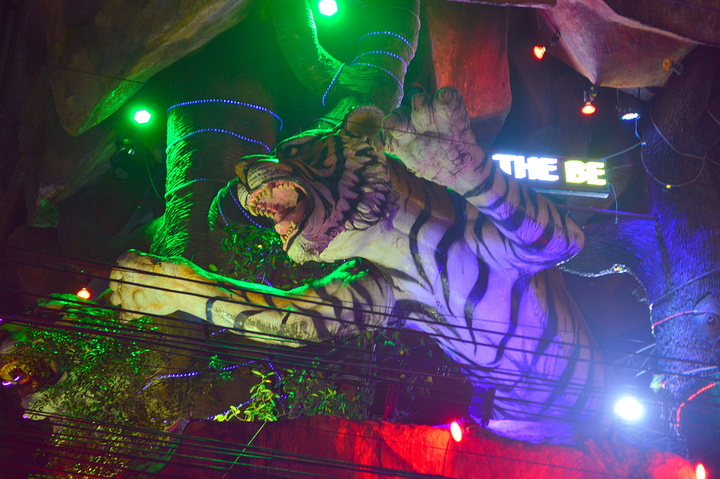 声名远播的白虎酒吧,很大.有了"白虎精",这里还有"蛇精"- snake bar.