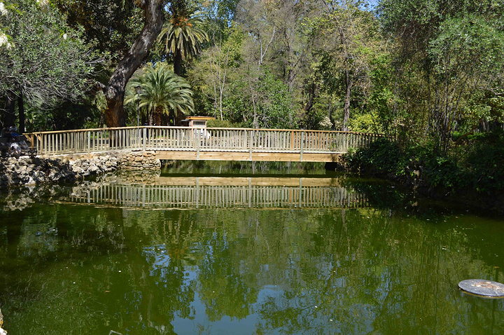 2017六人骑车,超好玩。每个参观的人关注点都