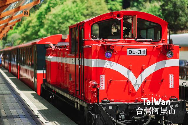 阿里山国家森林游乐区