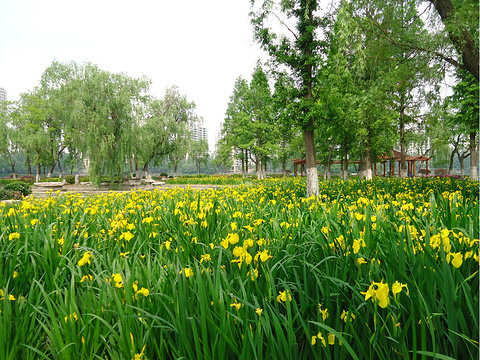 莫愁湖景区旅游景点图片