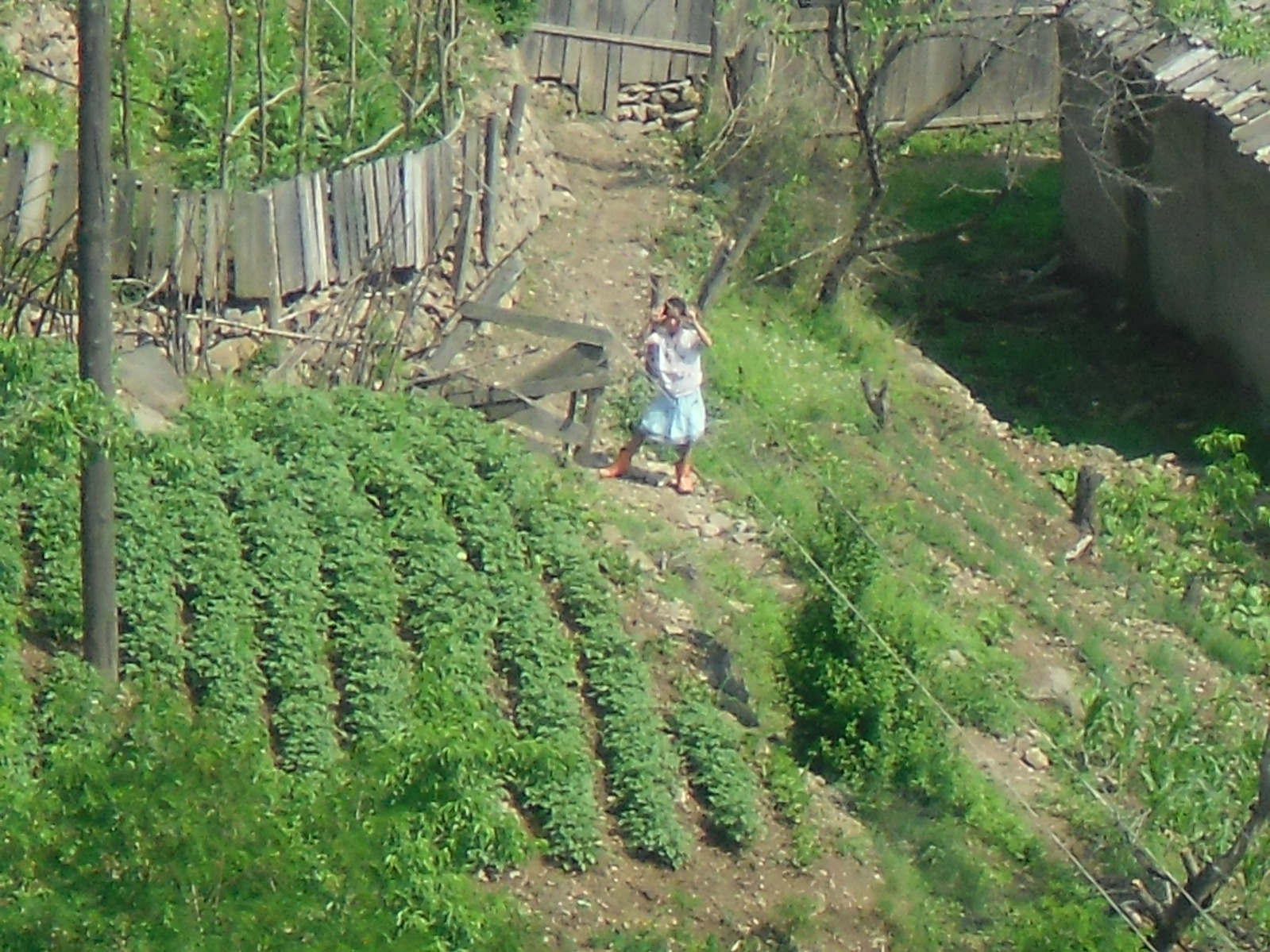 云峰大坝,旅游攻略,自助游,自驾游,自由行,游玩攻略指南 移动版