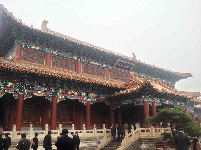 2017除一批著名汉碑移入孔庙外,林内尚有李格