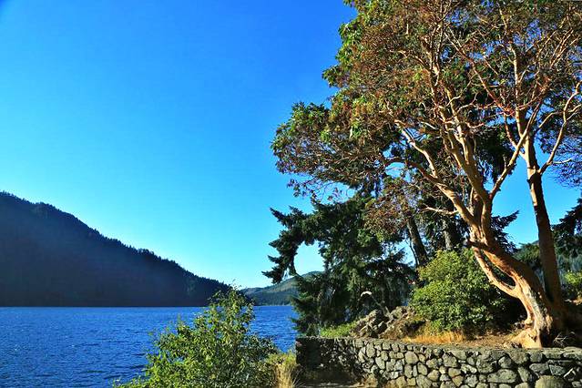 奥林匹克国家公园