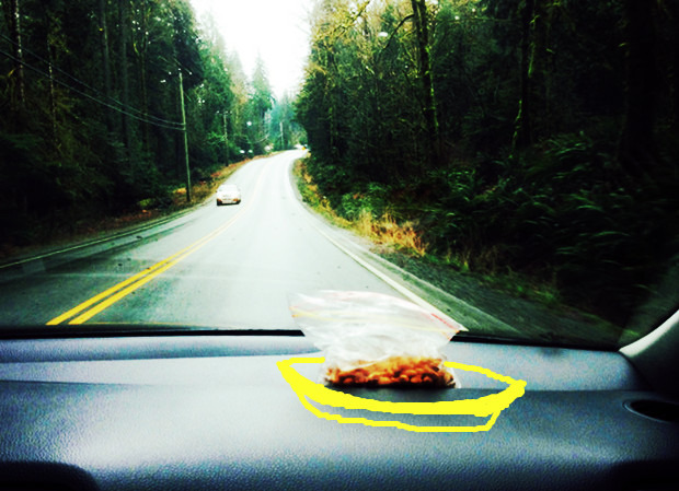 温哥华岛上的明珠^TOFINO