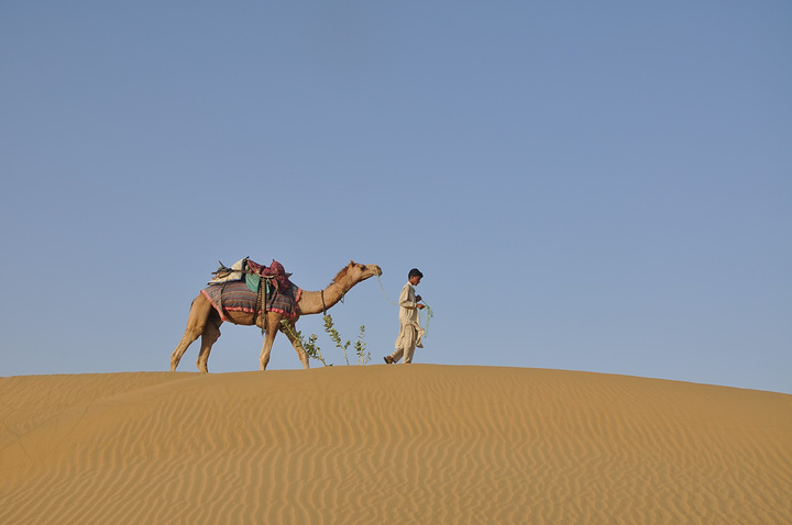 骑得这匹骆驼才5岁还是个小孩特别喜欢跑而且骆驼跑起来是顺拐得真的