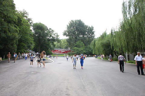 望溪公园旅游景点攻略图
