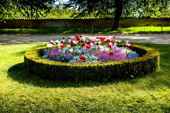 大树,草地,蓝天,小花园非常漂亮.