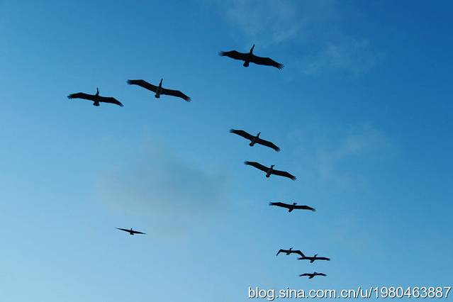 莫罗与卡瓦纳历史公园