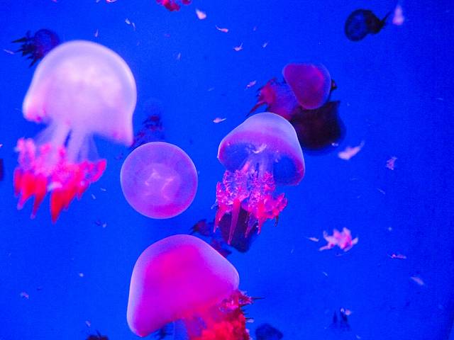 常州海昌海洋探索馆