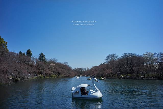 井之头自然文化公园