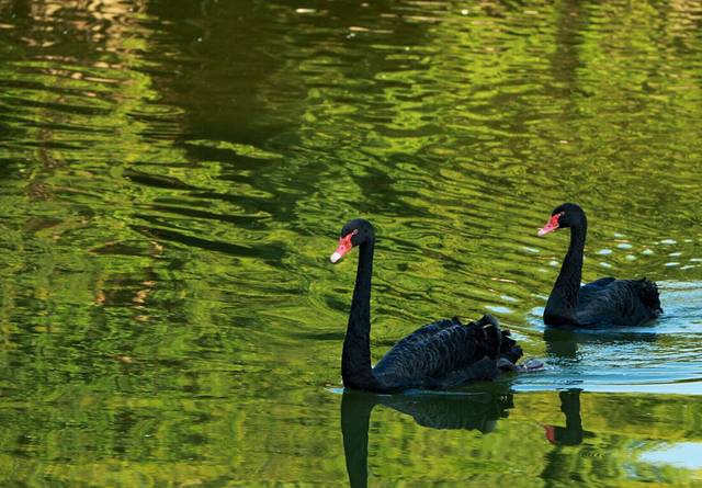 西安秦岭野生动物园