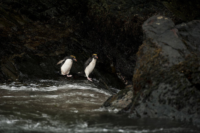 Cooper Bay图片 Cooper Bay图片