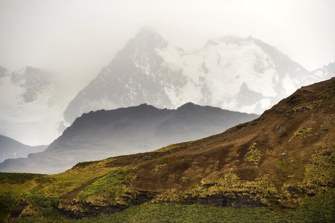 Leith Harbour图片 Leith Harbour图片