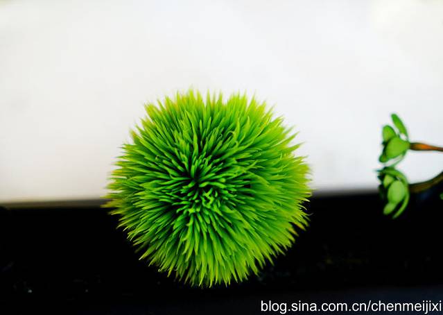 加拿大皇家植物园