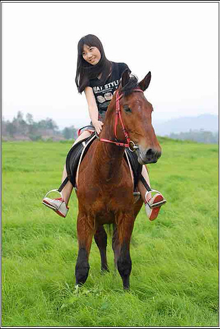 动物有意外保险吗 短期意外保险