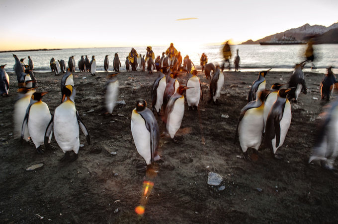 圣安德鲁斯海湾图片 圣安德鲁斯海湾图片