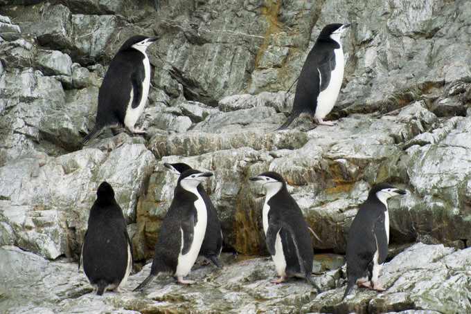 科普时间图片 科普时间图片