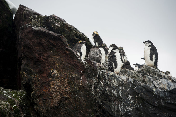 Cooper Bay图片 Cooper Bay图片