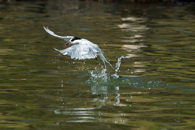 大洋港图片 大洋港图片