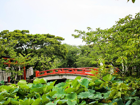 鹤冈八幡宫旅游景点图片