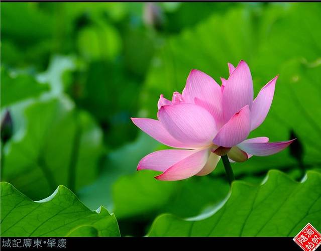 封开国家地质公园