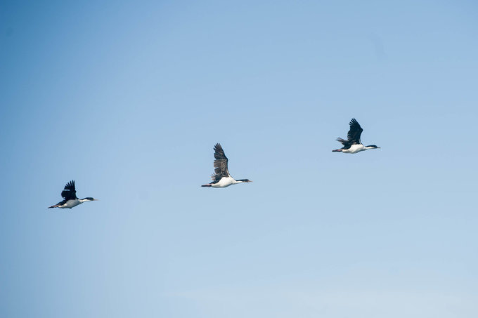 一场海洋生物的盛会图片 一场海洋生物的盛会图片
