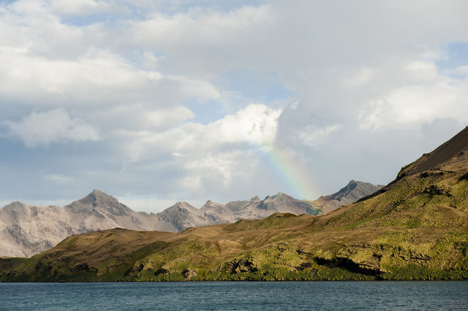 Leith Harbour图片 Leith Harbour图片