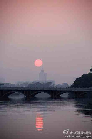 "景色一般，所谓的火烈鸟、丹顶鹤毫无生气，至于湿地景色，环湖绿道骑行就可以看到，不建议入内_星湖湿地公园"的评论图片