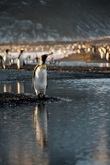圣安德鲁斯海湾图片 圣安德鲁斯海湾图片