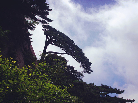 半山寺旅游景点图片