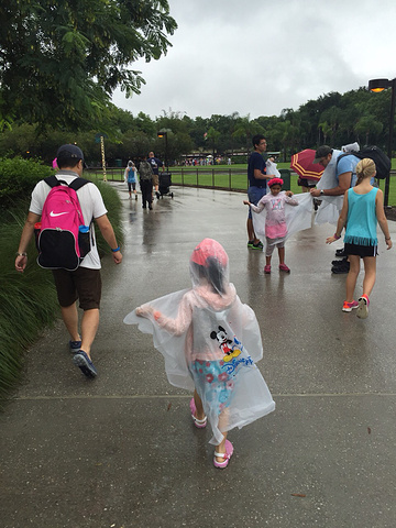 2017中年带孩子游遍奥兰多无数主题公园与加