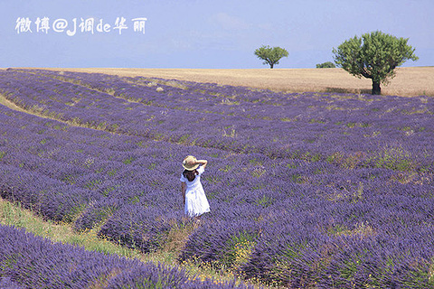 瓦伦索勒旅游景点攻略图