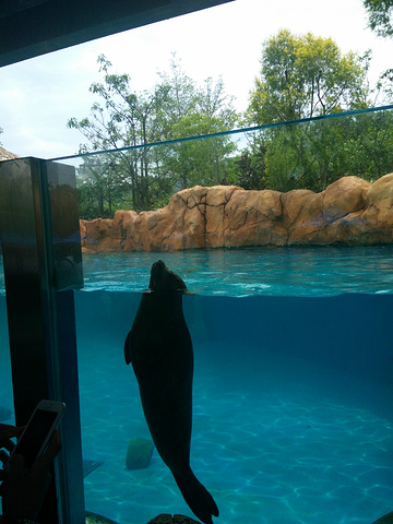 2017早晨起床后到拱北汽车站附近去吃肯德基