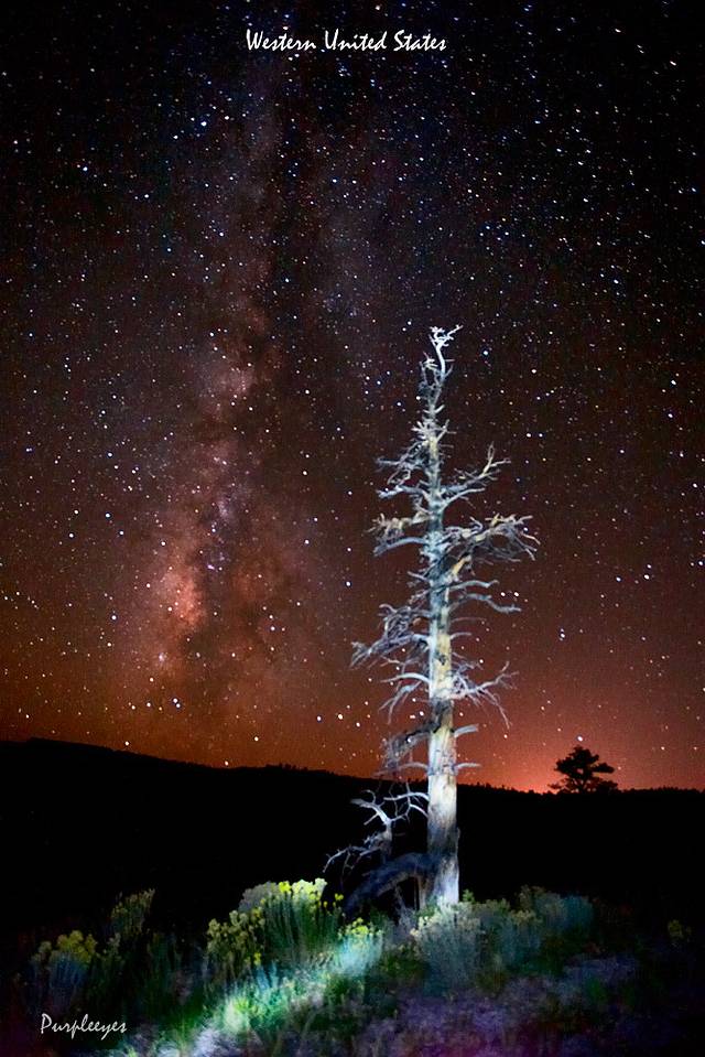 大盆地国家公园