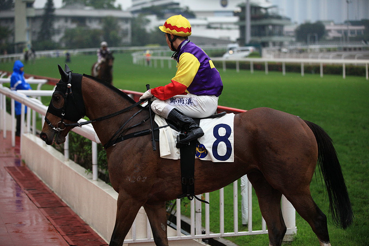 2017跑马地一般每周三晚上举行赛赛_沙田马场