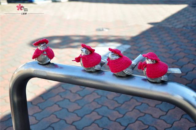 继续坐江之电来到江之岛,车站栏杆上穿衣服的小鸟,是很有人气的标志物