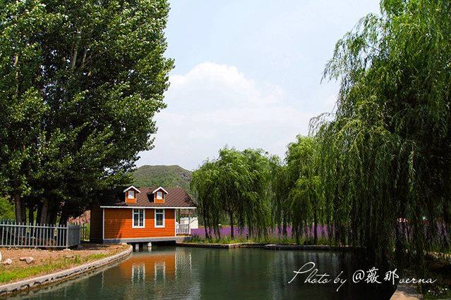 密云人间花海薰衣草庄园