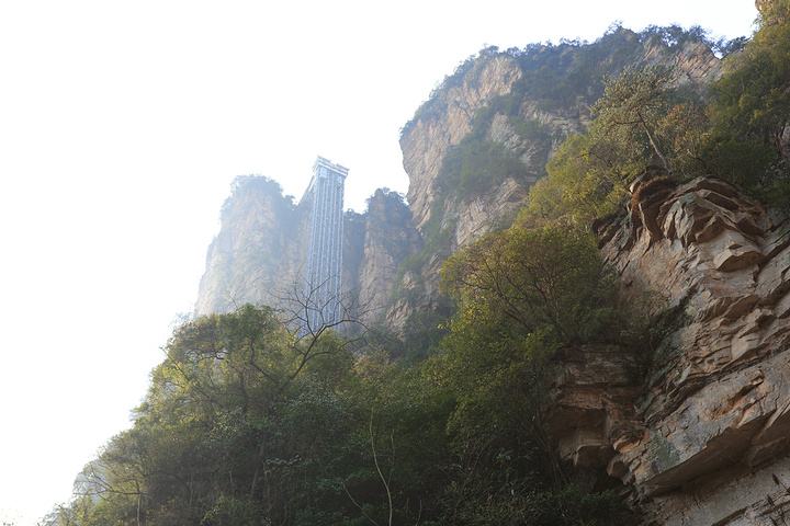 2017慕名而来,VIP往返,孩子不满一米三还免._