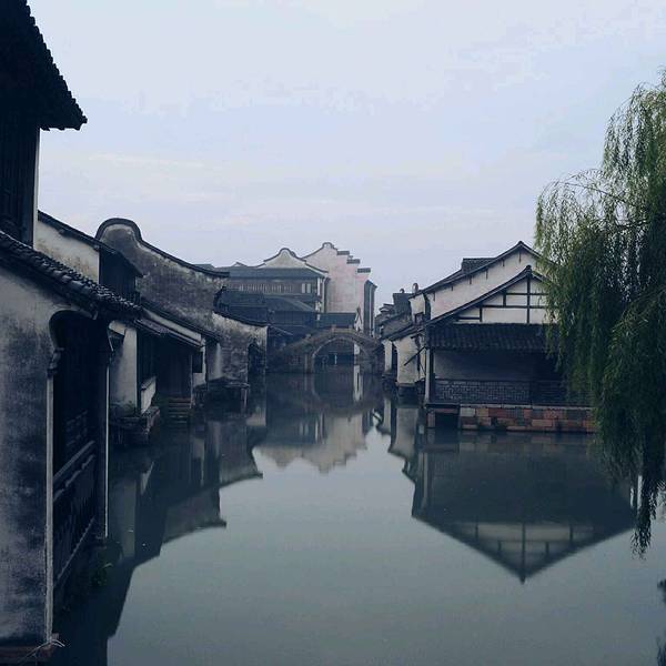 浙江乌镇旅游景点_乌镇2017年旅游收入(2)
