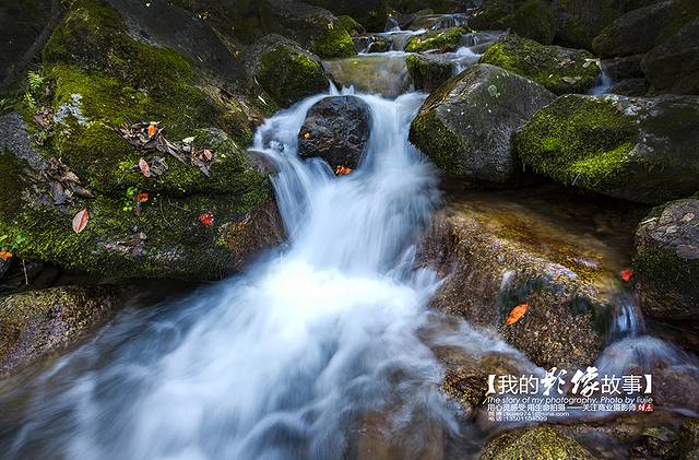 拉法山国家森林公园