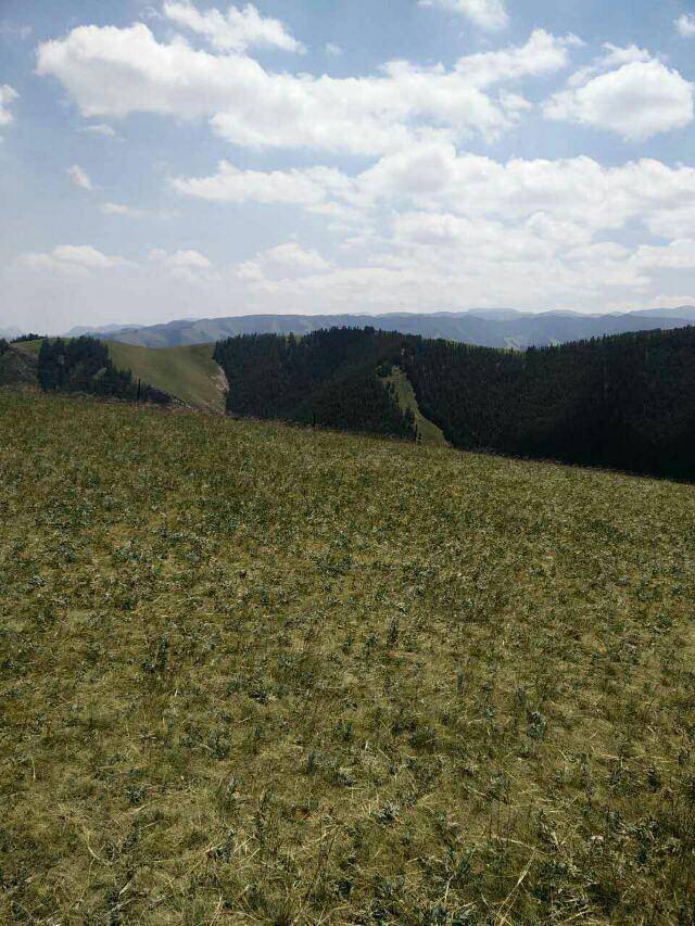 裕固风情走廊景区