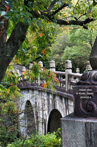 "为了《迷宫的十字路》，鞍马寺这次去不了，五条大桥总是能来的！这里就是晚上一群人吃饭发生杀人事件的地方_Sanjo Bridge"的评论图片