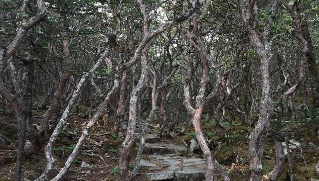 九十九龙潭景区